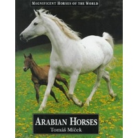 Arabian Horses by Tomas Micek