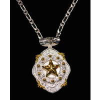 Necklace Gold Star