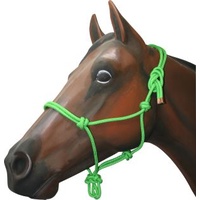 Coloured Rope Halter