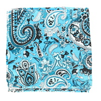 Wild Rag 100% Silk, Paisley Turquoise