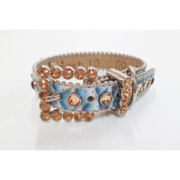 BBS Dog Collar Blue & Gold