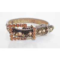 BBS Dog Collar Gold