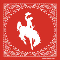 Red Buckin&#39; Cowboy Bandana