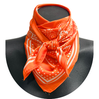 Jolene Satin Wild Rag, Orange