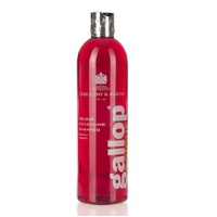 Gallop Colour Shampoo - Bay 500ml