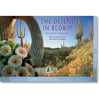 Blank Assortment - Desert Bloom