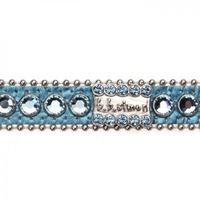 BBS Dog Collar Aquamarine