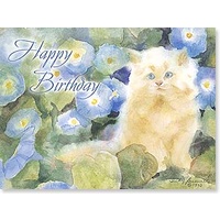 Birthday Card