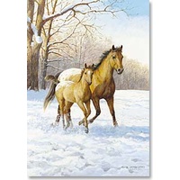 Christmas Card CB- Appaloosa Mare & Foal