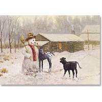 Christmas Card CB - Appaloosa Foal