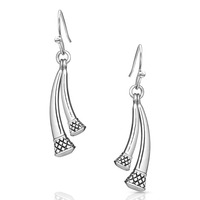 Due Horseshoe Nail Earrings