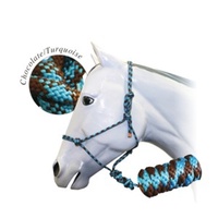 Rope Halter w/ 10&#39; Lead