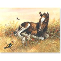 Friendship Card