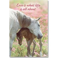 Magnet - Love is what life is all about.