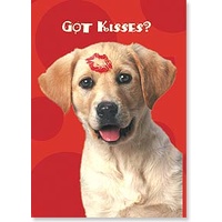 Magnet - Got Kisses?