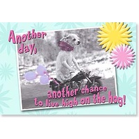 Magnet - Chihuahua Biker