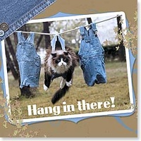 Magnet - Hang in there!
