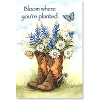 Magnet - Bloom where you're planted.