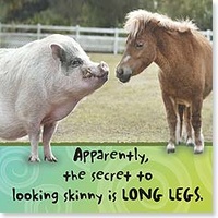 Magnet - Long Legs