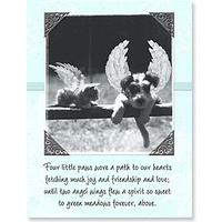 Pet Sympathy Card (Pack of 6)