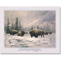 Poster - Buffalo Wilderness