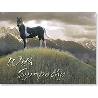 Sympathy Card