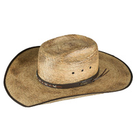 Carter Palm Straw Hat