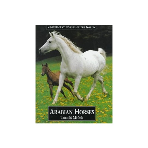 Arabian Horses by Tomas Micek