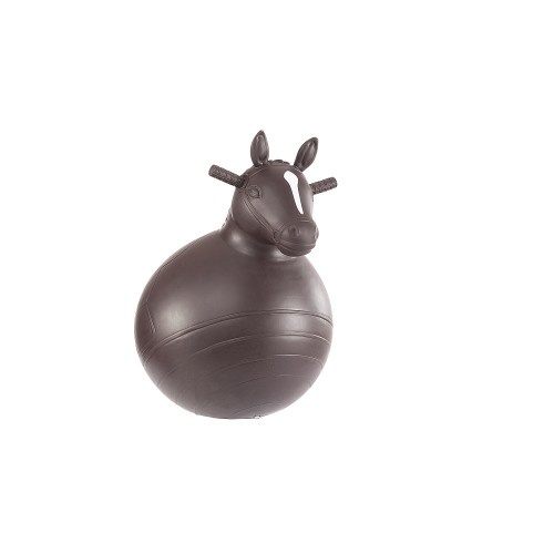 Bouncy Horse Toy