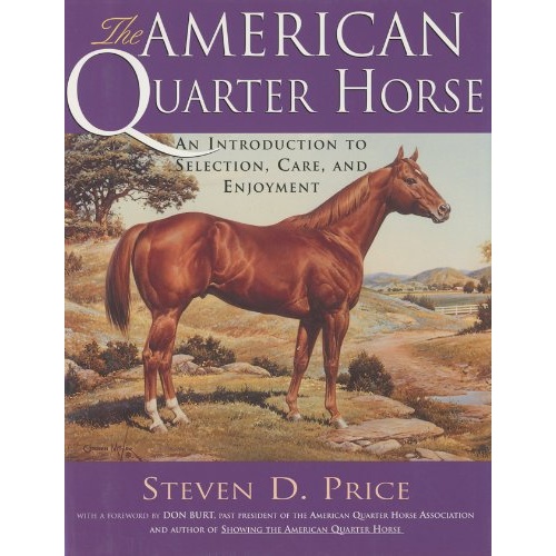 The American Quarter Horse An Introduction To Selection