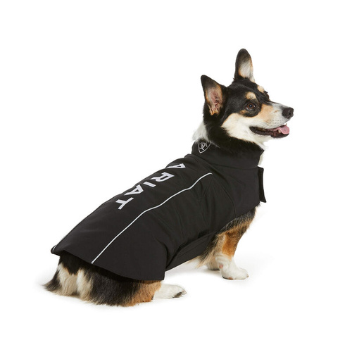 Team Softshell Dog Jacket, Black [Size: XS]