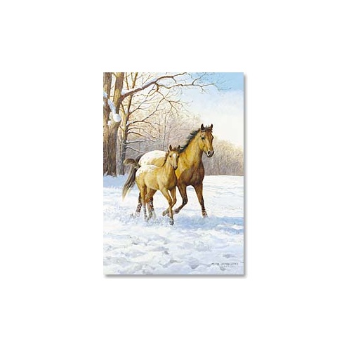 Christmas Card CB- Appaloosa Mare & Foal