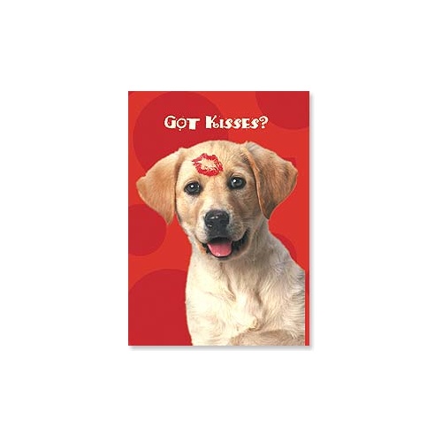 Magnet - Got Kisses?